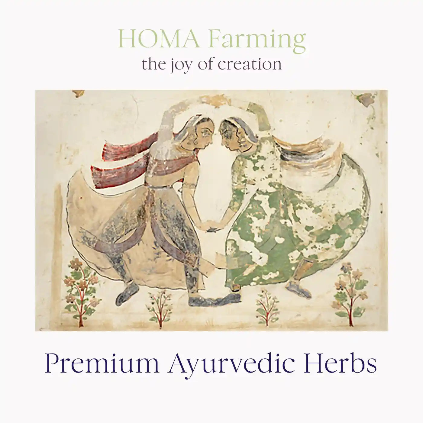 Ayurvedic Ashwagandha Hormones UK