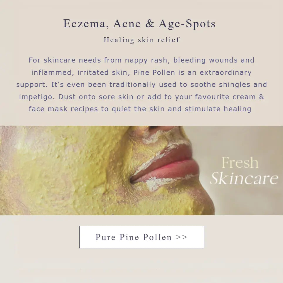 Wild Harvested Raw Pine Pollen - Broken Cell Micro-powder - Na'vi Organics