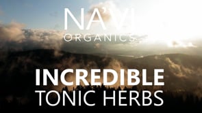 pine pollen benefits