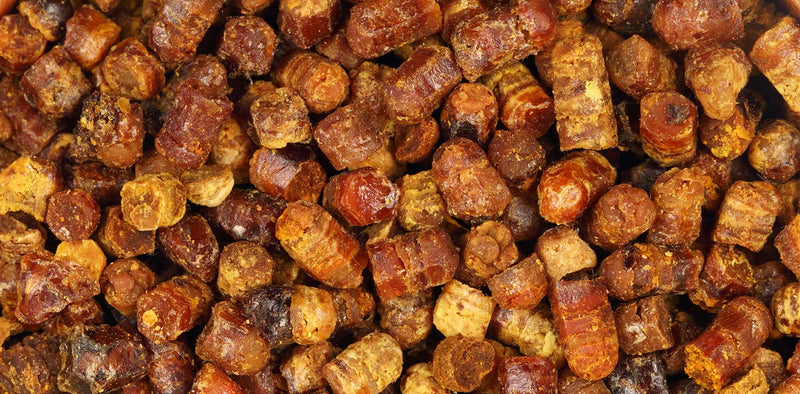 What Is Bee Bread? The Fermented Treasure of the Hive