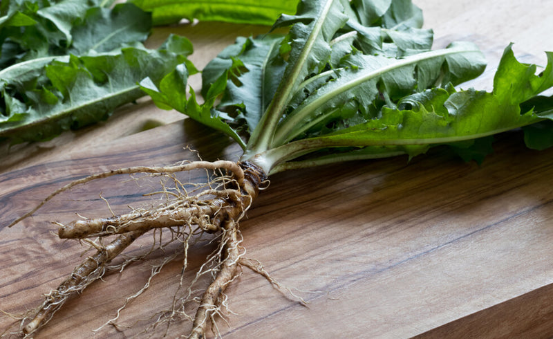 Spring Weed Medicine