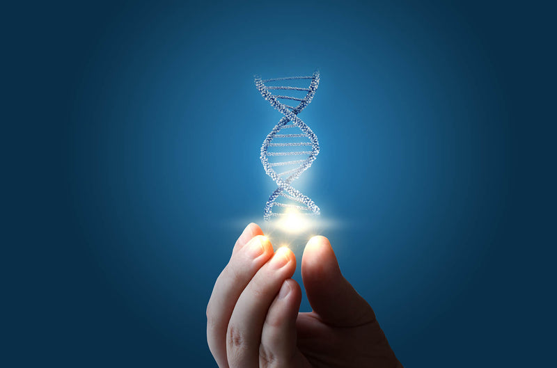 Khavinson peptide bioregulators and lingual supplements
