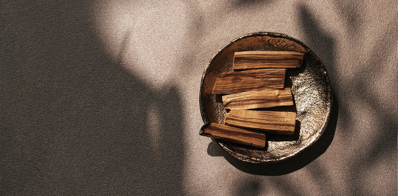 What Is Palo Santo? The Holy Wood of the Andes