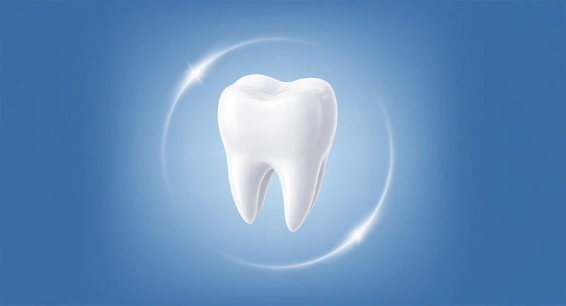 The Science of Mineral Oral Care: Hydroxyapatite, Pearl and the Botanical Tradition