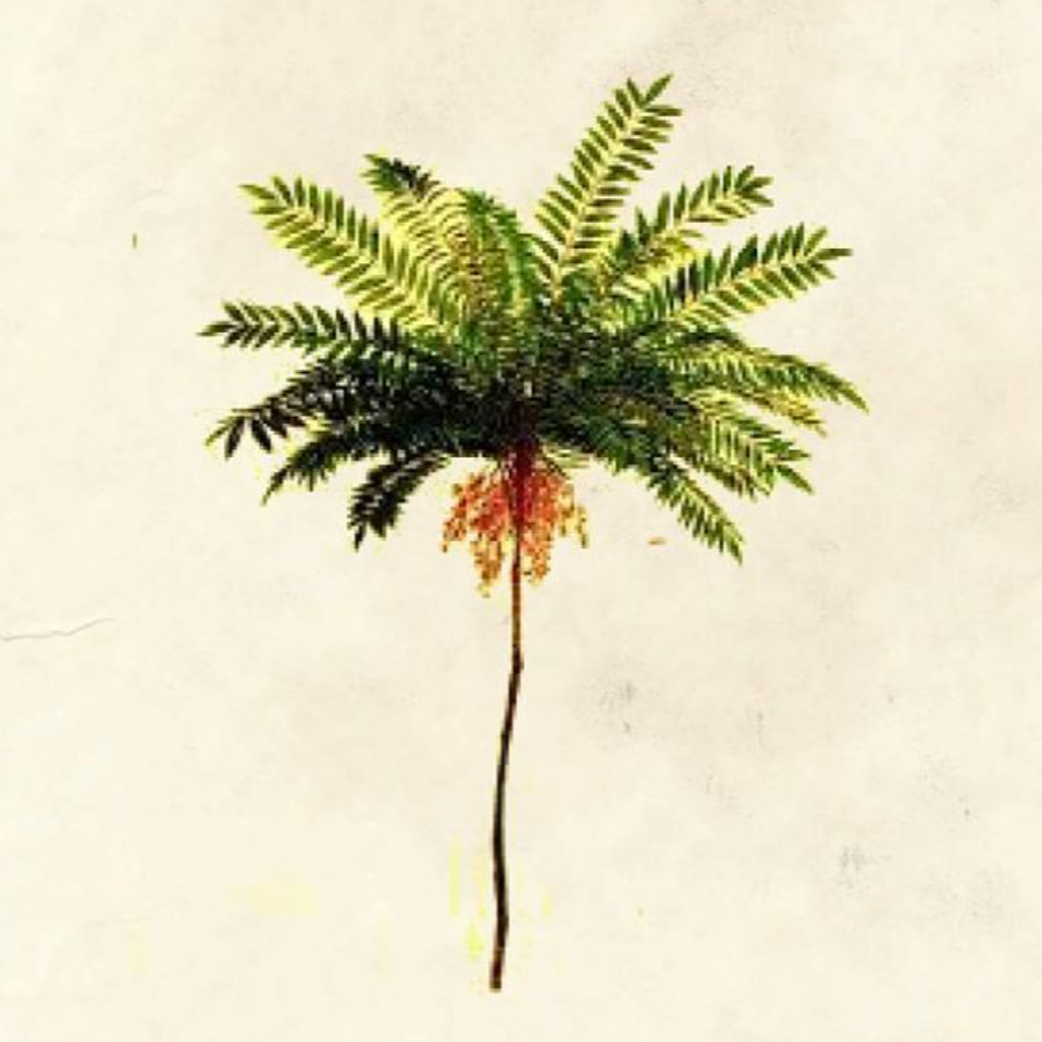 Requested Product - Na'vi Organics