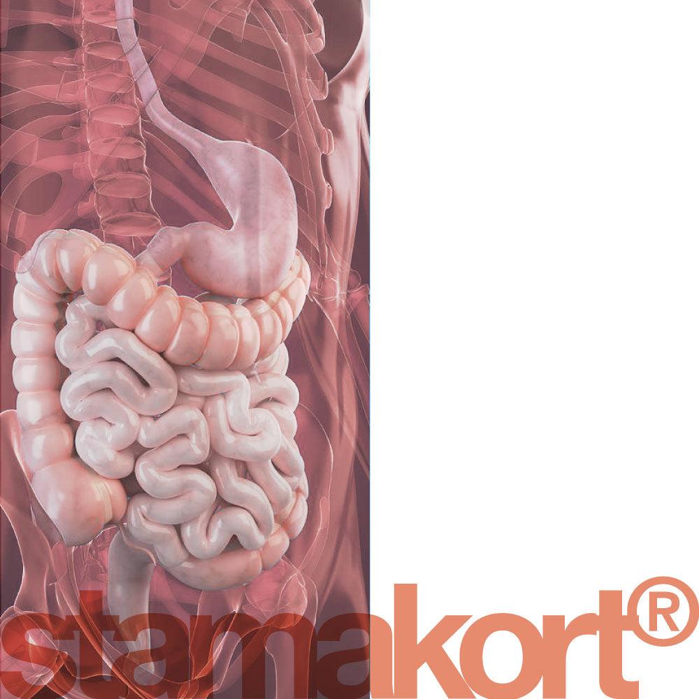 Stamakort Lingual Natural Food Supplement - Na'vi Organics