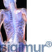 Sigumir Lingual Natural Food Supplement - Na'vi Organics