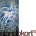 Glandokort Lingual Natural Food Supplement - Na'vi Organics