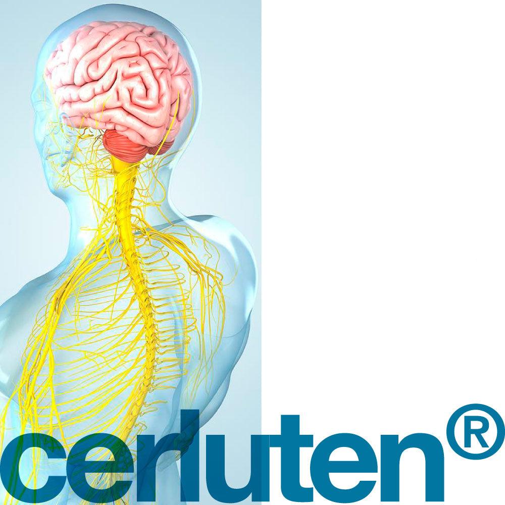 Cerluten Lingual Natural Food Supplement