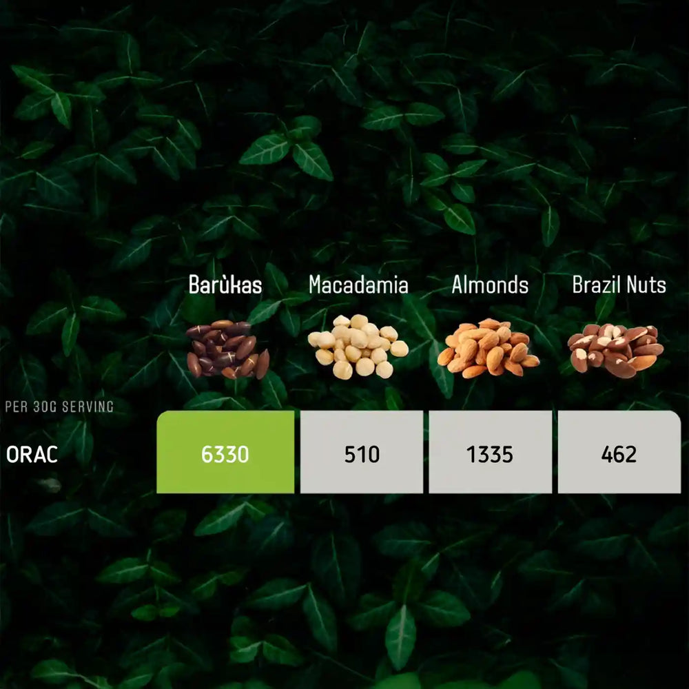 Whole Roasted Baru Nuts - Wild Harvested - Na'vi Organics