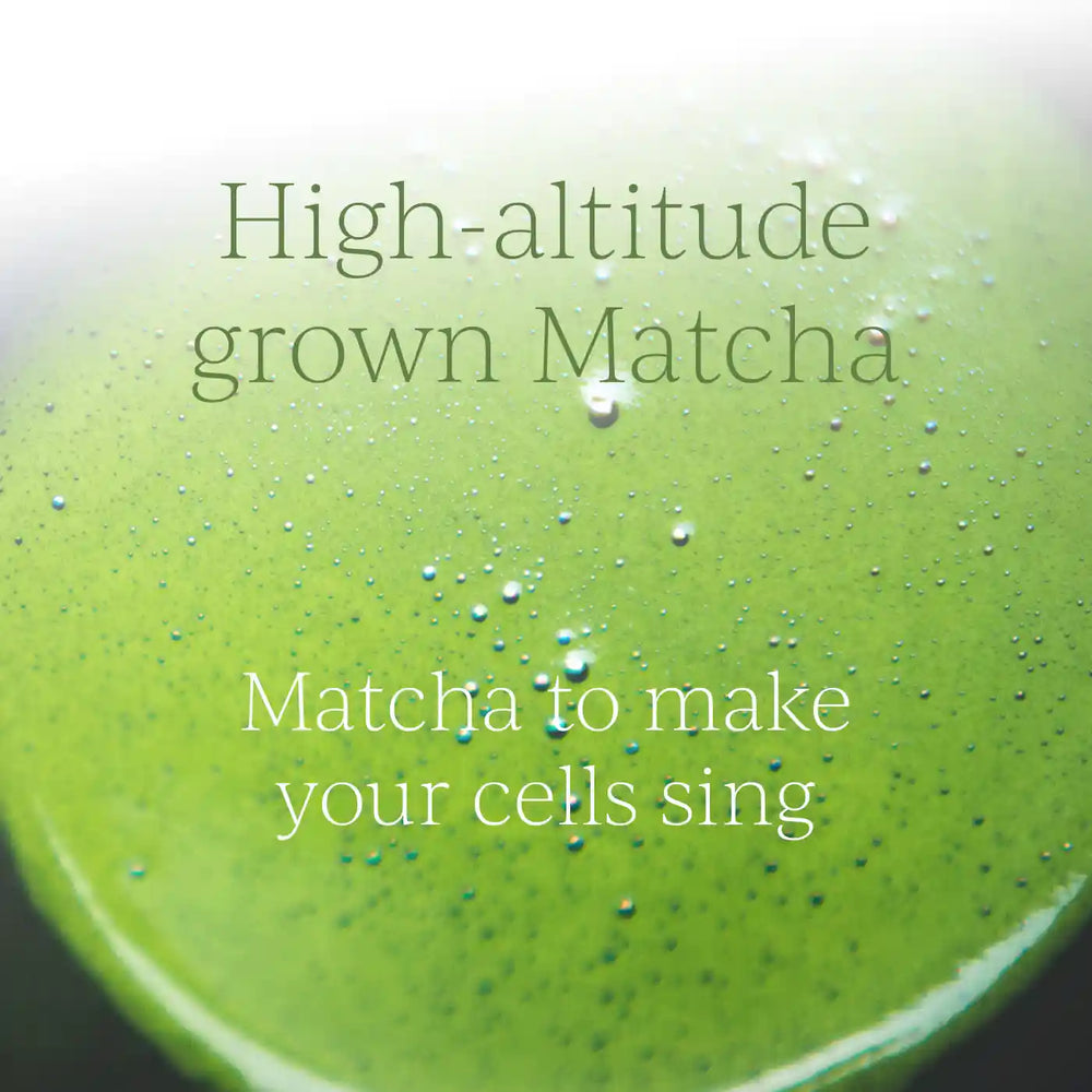 Organic Ceremonial Grade Matcha Tea - 45g - Na'vi Organics