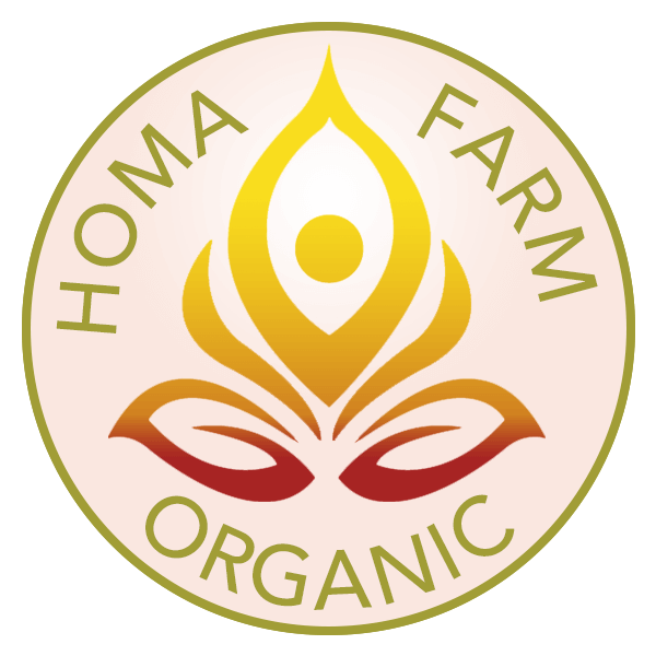 Moringa Latte - HOMA Organic Grown