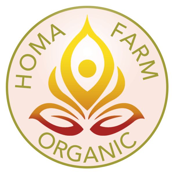 Ragi Porridge Mix | HOMA Organic Grown & Blended |  Gluten Free