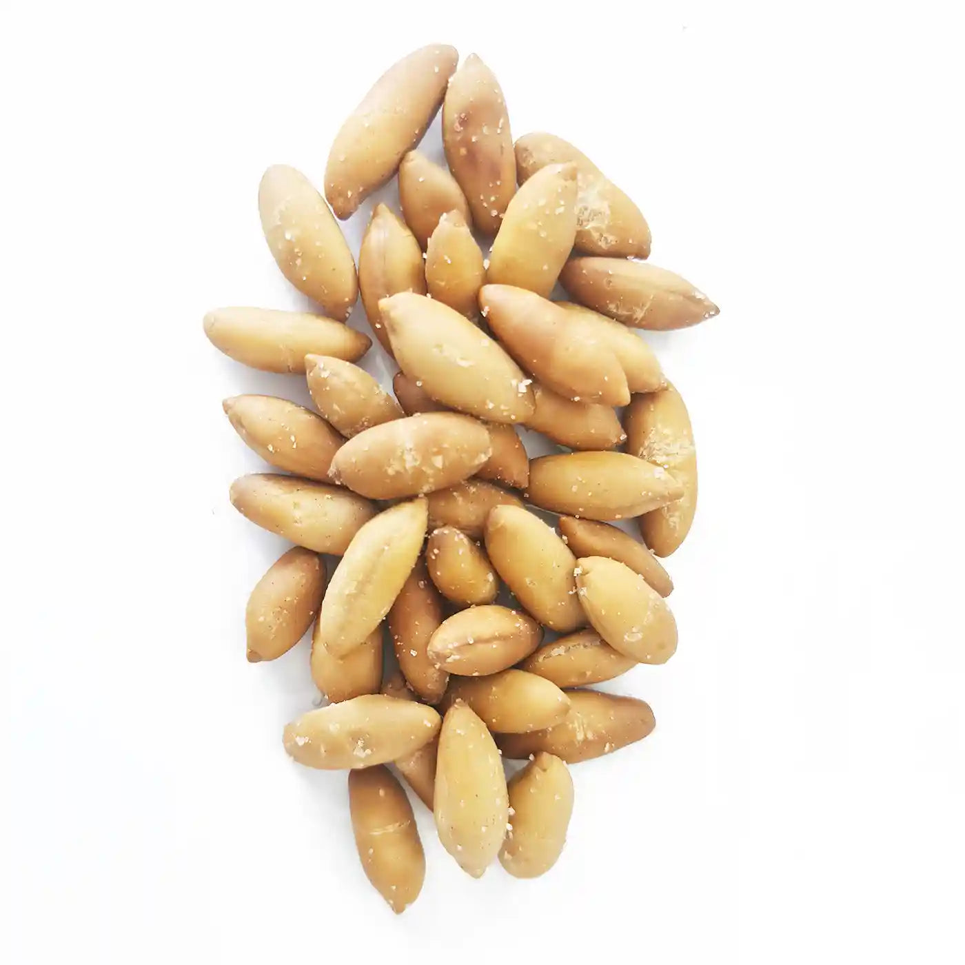 Salted Peeled Baru Nuts - Wild Harvested - Na'vi Organics