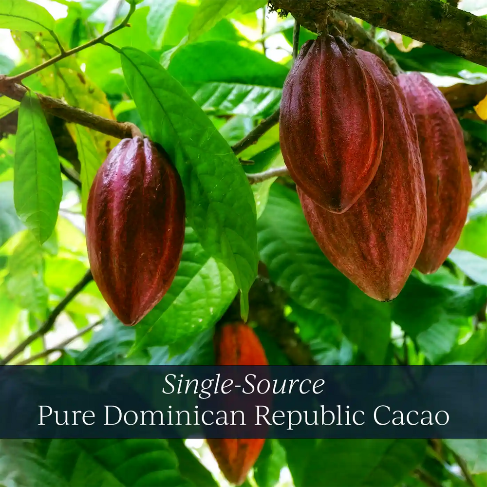 Cacao_Raw_Organic_UK