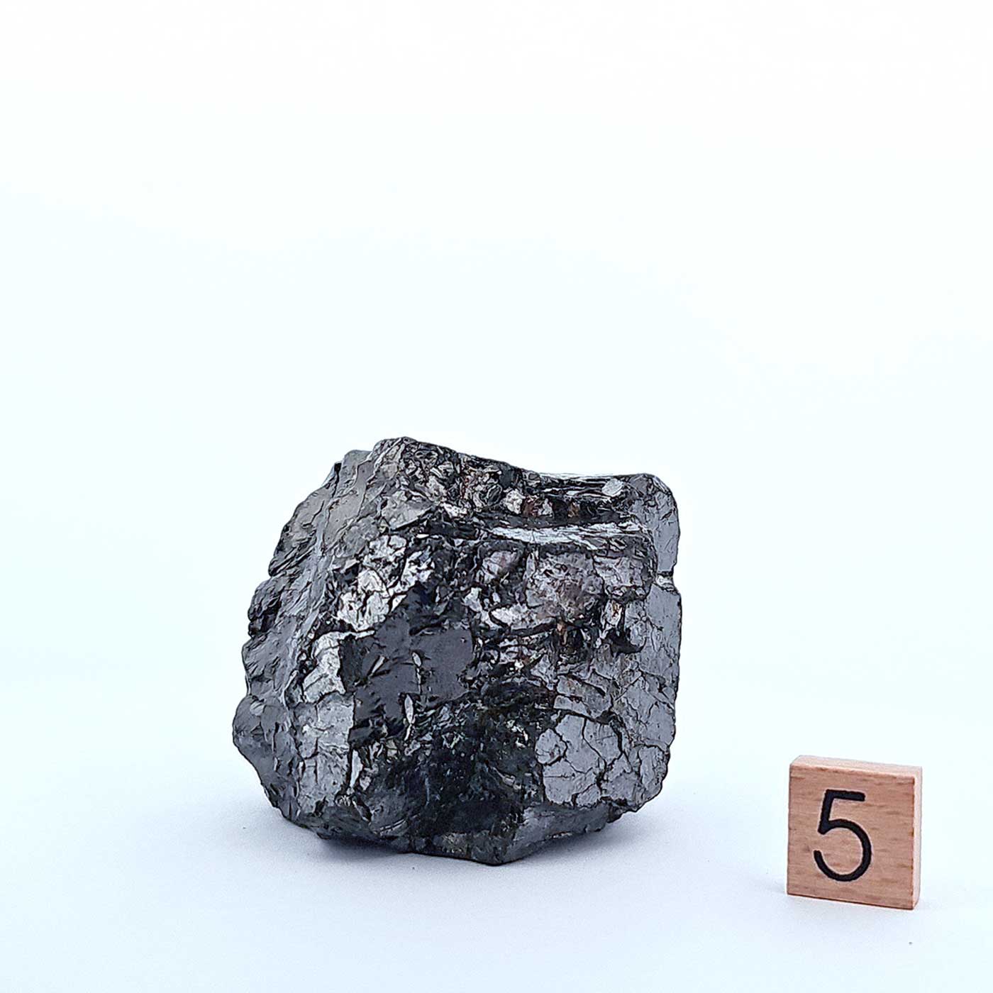 Elite Noble Shungite Natural Stone (140g - 170g)