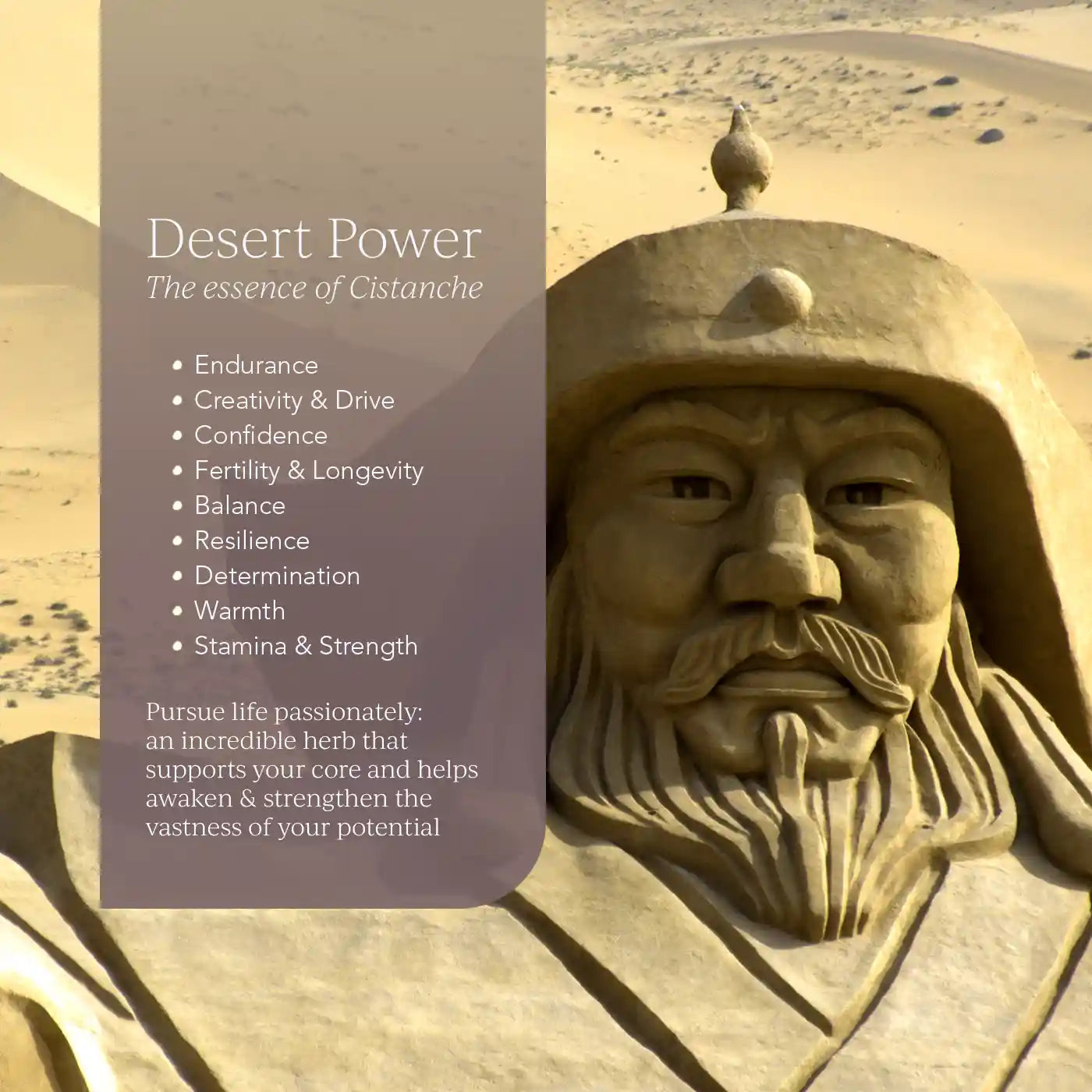 Cistanche natural viagra