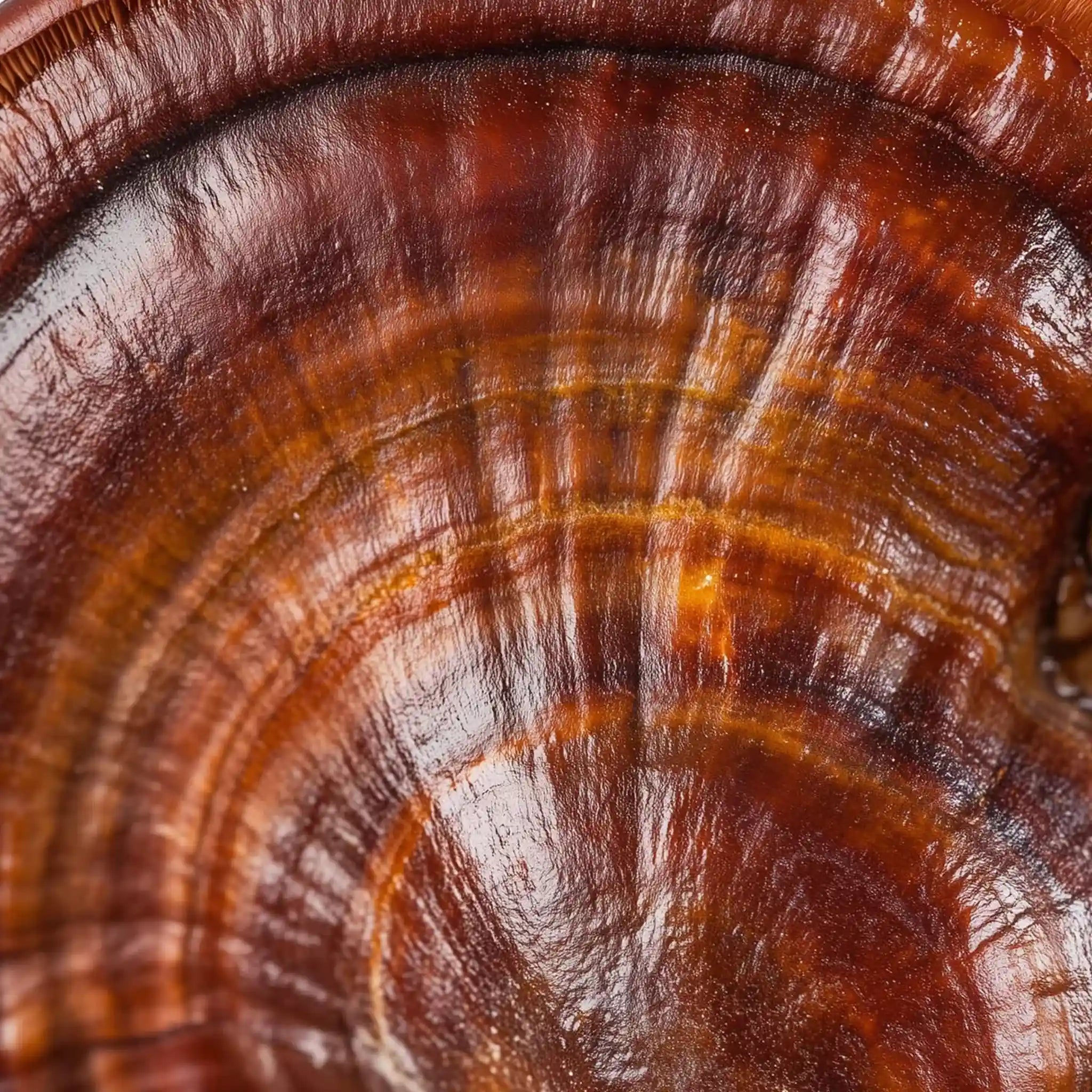 Tonic Gold M - Herbal Coffee - Healthy Mushroom Elixir - Wellness Support Blend - Na'vi Organics