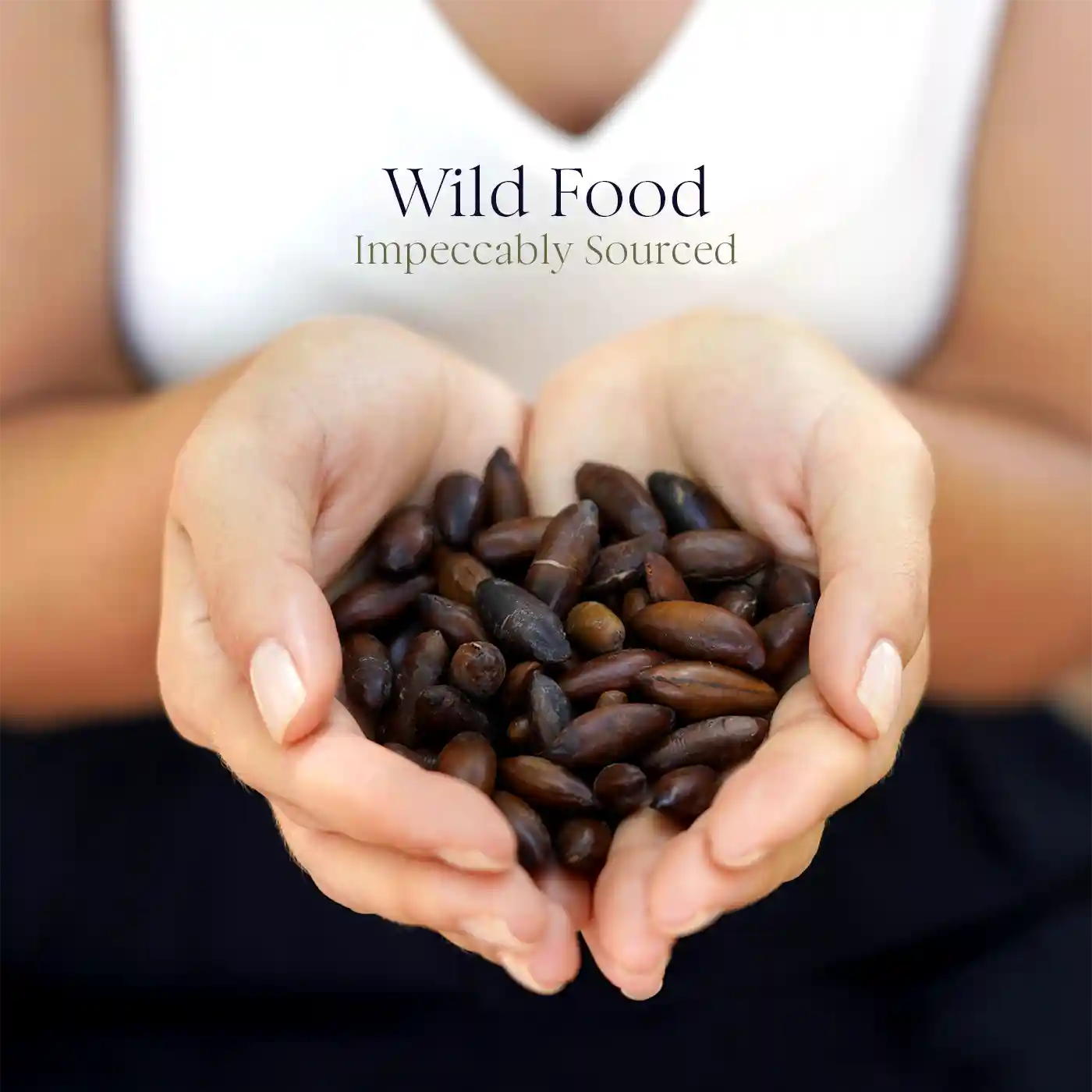 Whole roasted wild baru nuts from the Brazilian Cerrado - Na'vi Organics