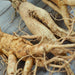 Panax Ginseng Root | Dual Extract | Full Spectrum | Wild Cultivated - Na'vi Organics