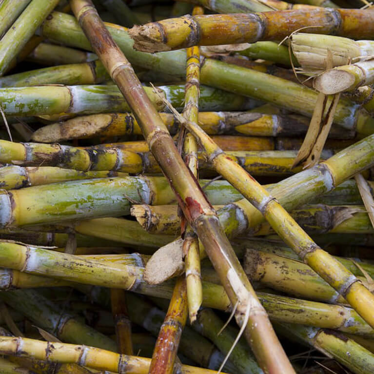 Policane - Unrefined Dried Sugar Cane Juice (454g) - Na'vi Organics