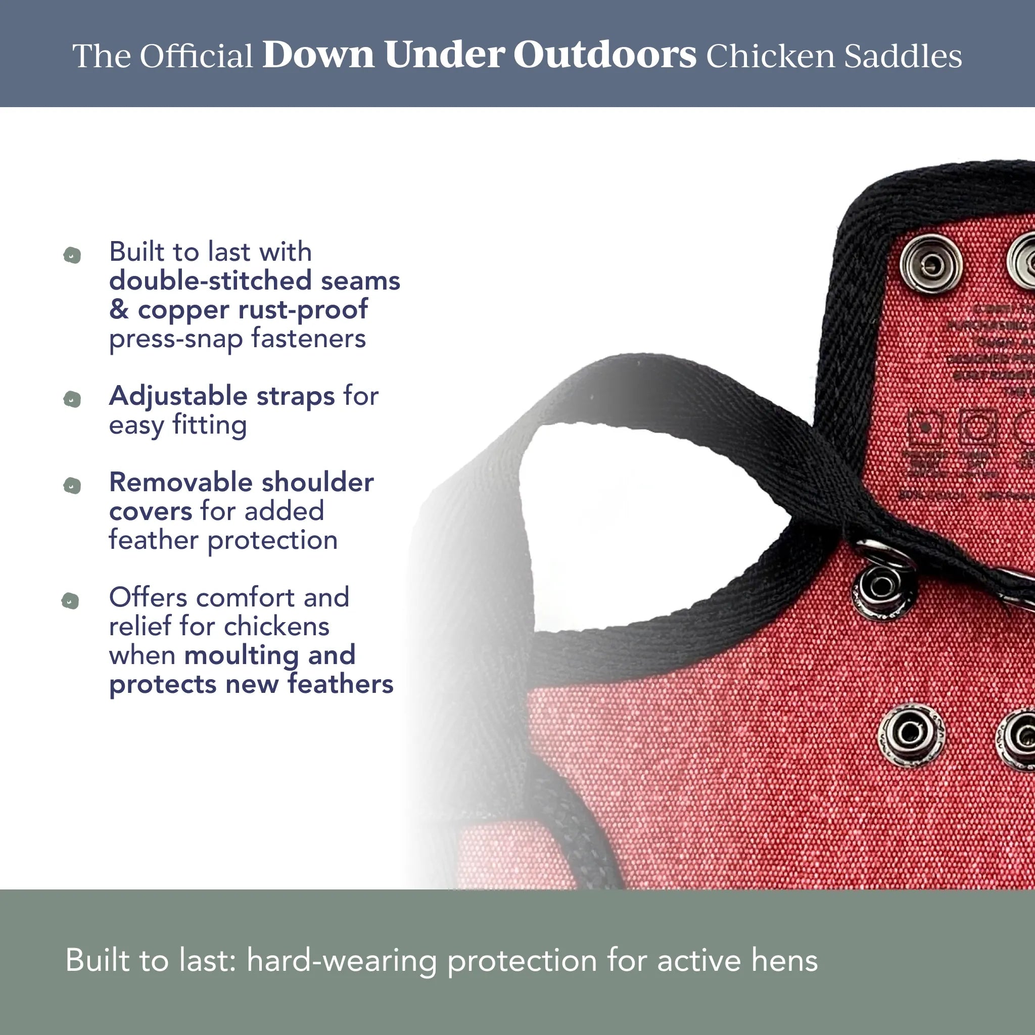 Chicken Saddle (Hen Apron) - Adjustable Hen Feather Saver