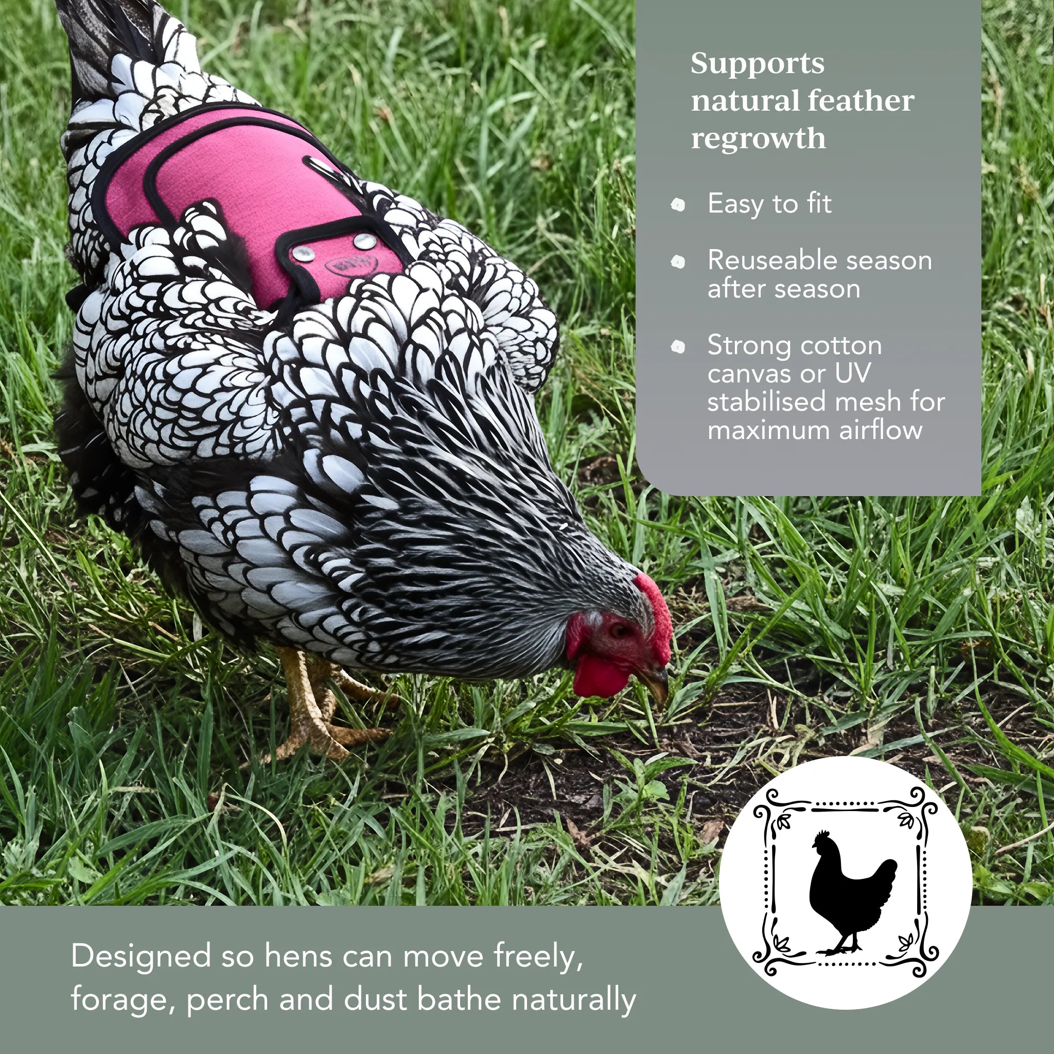Chicken Saddle (Hen Apron) - Adjustable Hen Feather Saver