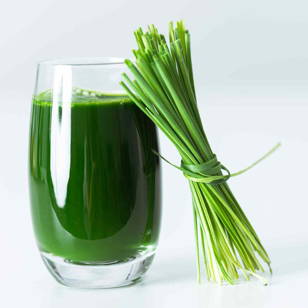 Organic Raw Kamut Wheatgrass JUICE Powder - Na'vi Organics