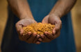 Policane - Unrefined Dried Sugar Cane Juice (454g) - Na'vi Organics