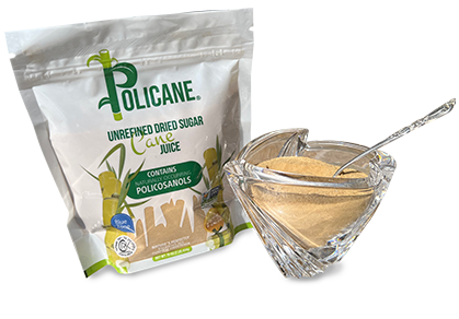 Policane - Unrefined Dried Sugar Cane Juice (454g)