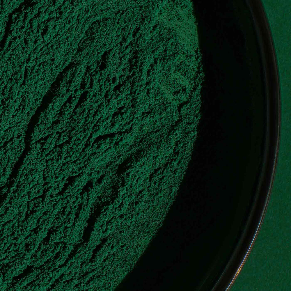 BioActive Wild Organic Blue Green Algae Juice Powder Na vi Organics