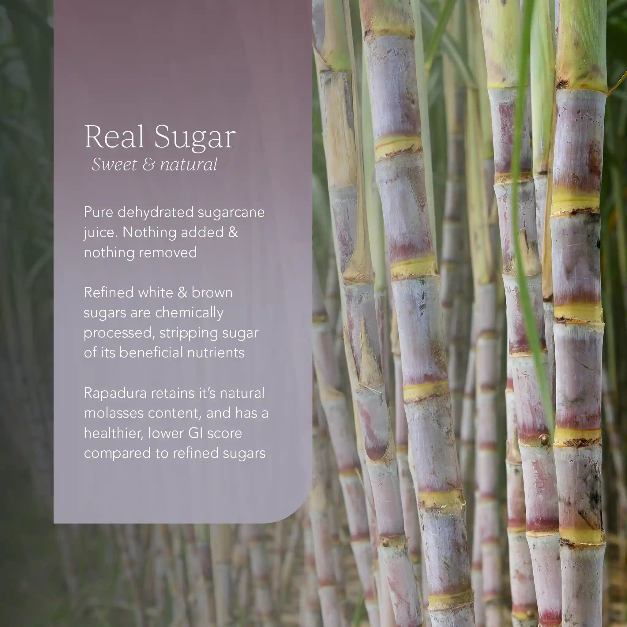 organic_wholefood_panela