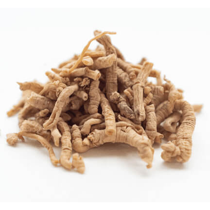 Full Spectrum Polygala Root Extract Powder - Wild Harvested - Na'vi Organics