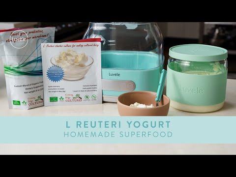 How to make L Reuteri Yogurt 