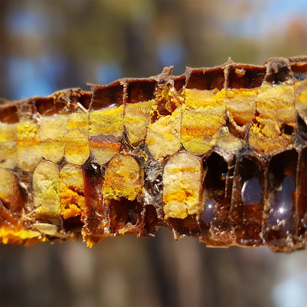 what is bee bread