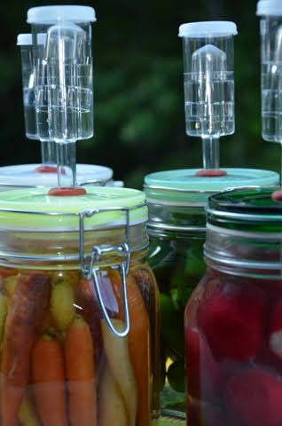 Original Pickl-It® Fermentation Lid Kit for Anaerobic Pickling - Na'vi Organics Ltd - 6