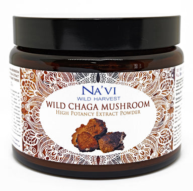 225 gram jar of Chaga Mushroom extract tonic herb powder