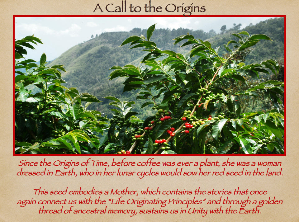 Mother Earth Restoration Coffee Beans - Na'vi Organics Ltd