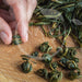 Premium Grade Wild Ivan Chai / Tea - Hand Rolled & Fermented in Oak - Na'vi Organics