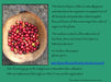 Mother Earth Restoration Coffee Beans - Na'vi Organics Ltd