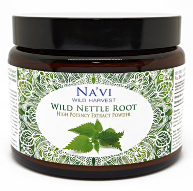 250 gram jar of wild harvested nettle root extract powder
