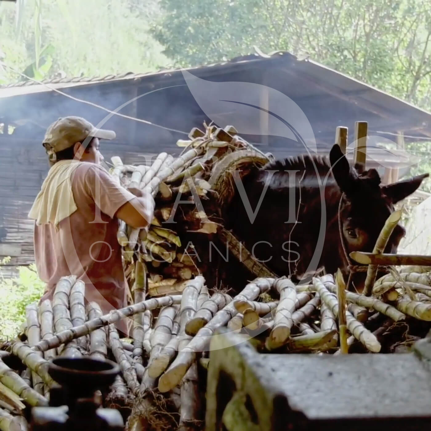 Organic Panela Rapadura Sugar - Natural Unrefined Wholefood