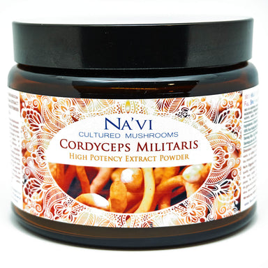 Buy Cordyceps Militaris Powder