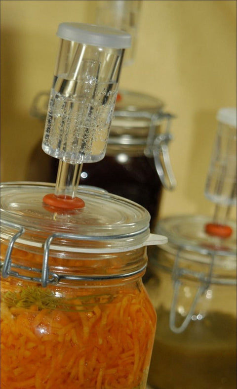 Fermentation