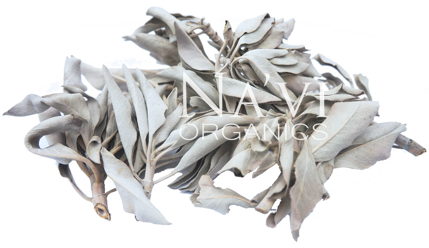 White Sage Sprigs - High Desert Sourced - Na'vi Organics