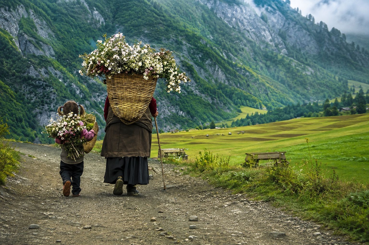 Two harvesters carrying baskets of wildflowers along a mountain path